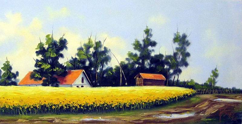 Kako su nastali salaši?