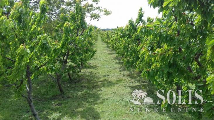 Investiranje u poljoprivredno zemljište