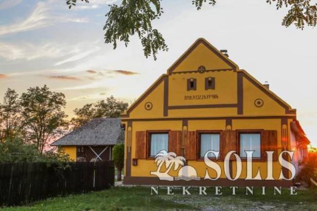 Povratak Korenima: Dijaspora i njihov izbor nekretnina u Novom Sadu i Vojvodini