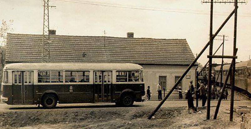 Istorijat naselja Detelinara